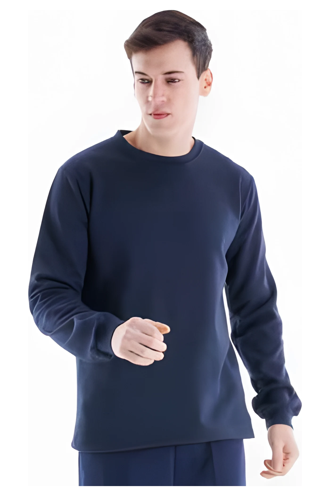 Regular Rundhals-Sweatshirt (SW8125) – weitere Ansicht